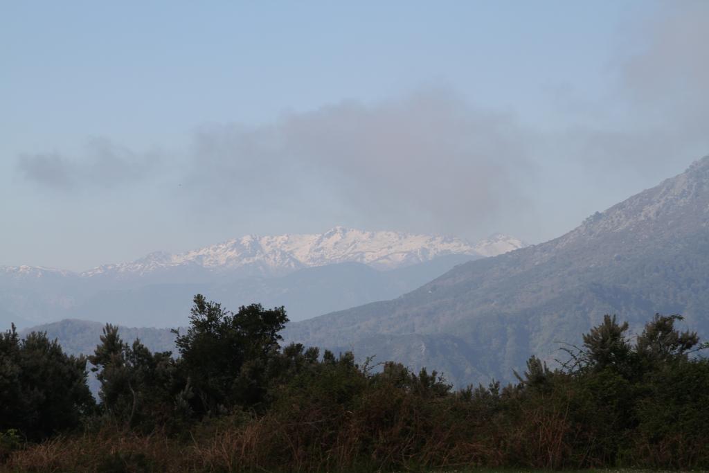 Kallista 1 San-Giuliano Rom bilde